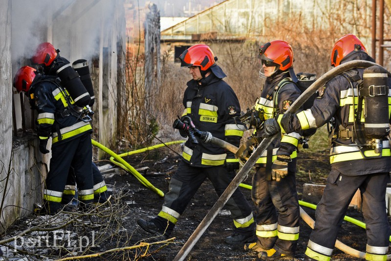 Pożar pustostanu przy ul. Druskiej zdjęcie nr 172888