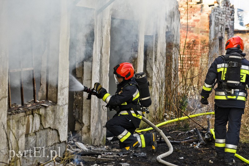 Pożar pustostanu przy ul. Druskiej zdjęcie nr 172886