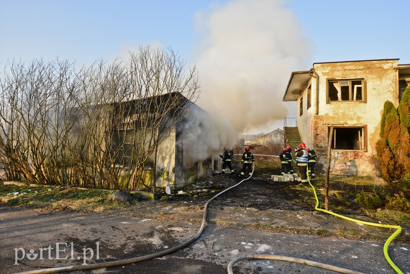 Pożar pustostanu przy ul. Druskiej zdjęcie nr 172876