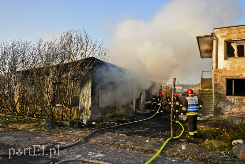 Pożar pustostanu przy ul. Druskiej zdjęcie nr 172877