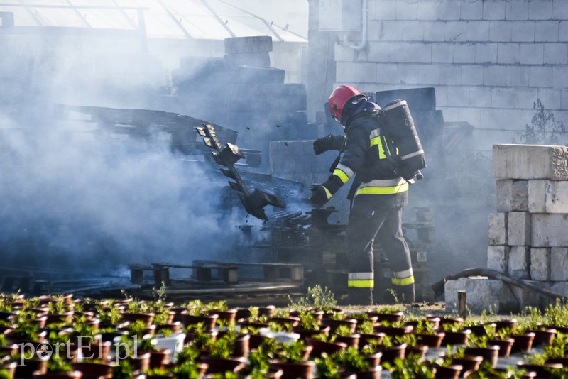 Pożar ciężarówki tuż pod warsztatem w Kazimierzowie zdjęcie nr 179936