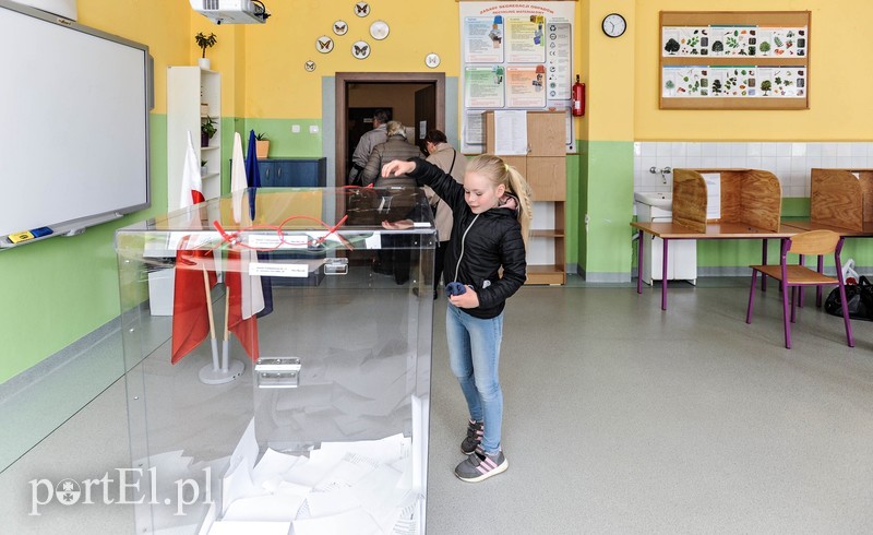 Trwają wybory do europarlamentu zdjęcie nr 201547