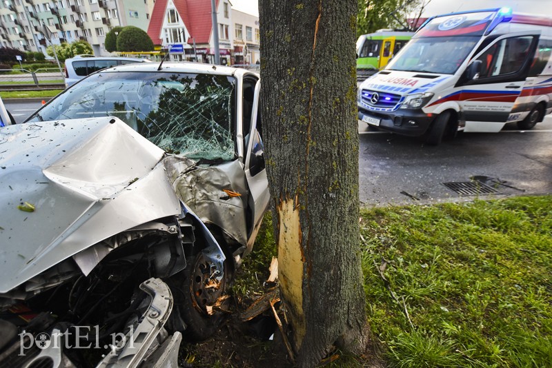 Ford uderzył w drzewo na ul. Płk. Dąbka zdjęcie nr 201933