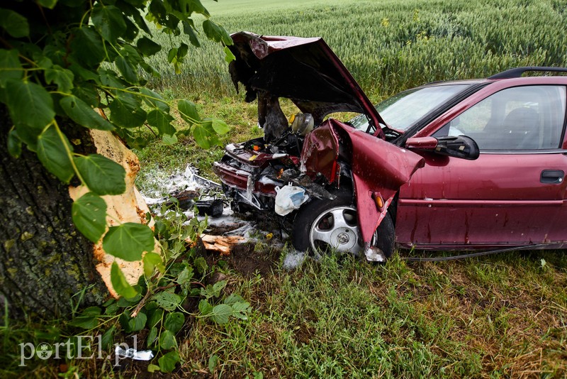 Opel uderzył w drzewo zdjęcie nr 203348