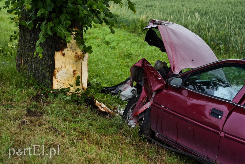 Opel uderzył w drzewo zdjęcie nr 203347