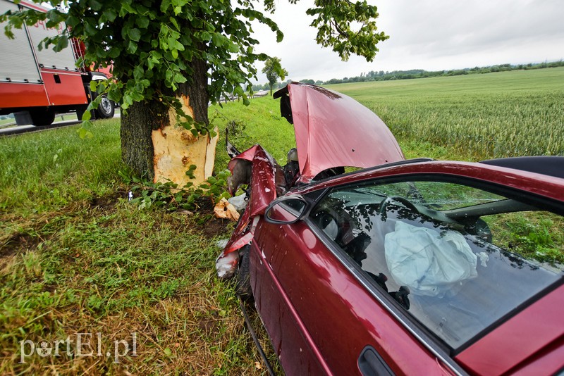 Opel uderzył w drzewo zdjęcie nr 203350