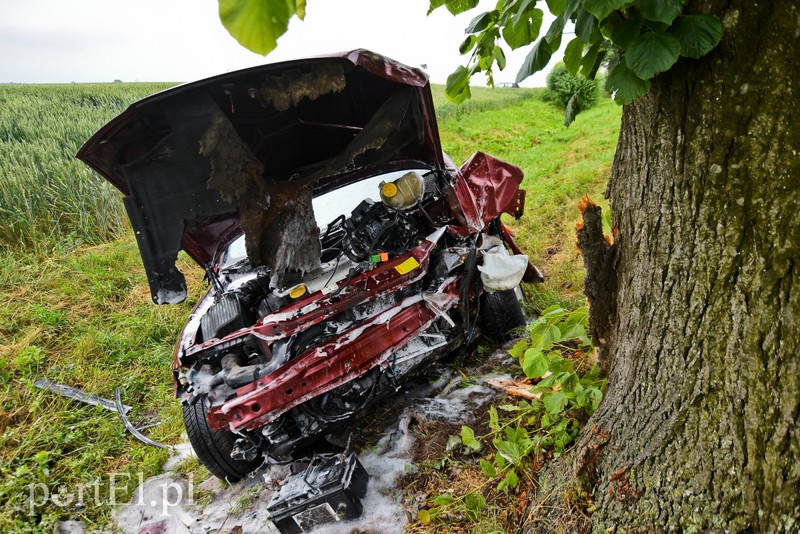 Opel uderzył w drzewo zdjęcie nr 203351