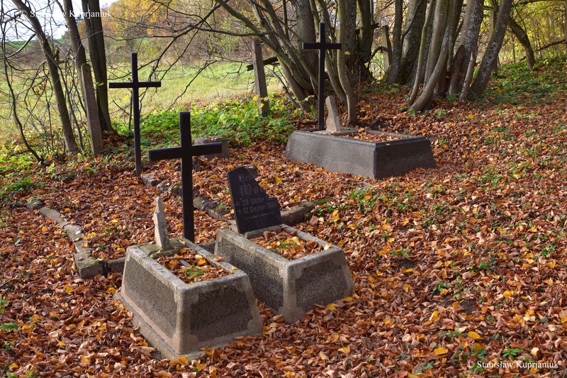 Historii cmentarza ewangelickiego w Lesiskach ciąg dalszy zdjęcie nr 215019