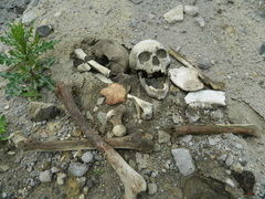 Hałdy piachu, śmieci i ludzkich szczątków przy ul. Radomskiej