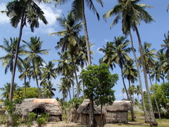 Wioska Michamvi. Zanzibar.