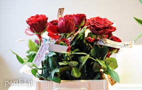 Piękne róże dla pięknych pań!