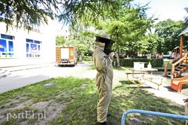 Pszczoły na placu zabaw przedszkola