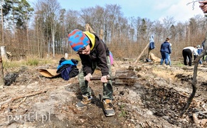 Niech się lasy pną do góry Niech się lasy pną do góry