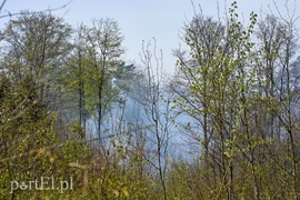 Pożar w środku lasu (aktualizacja)