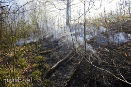 Pożar w środku lasu (aktualizacja)