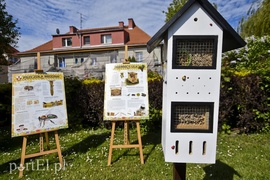 Domki czekają na pszczoły