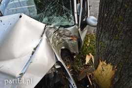 Ford uderzył w drzewo na ul. Płk. Dąbka