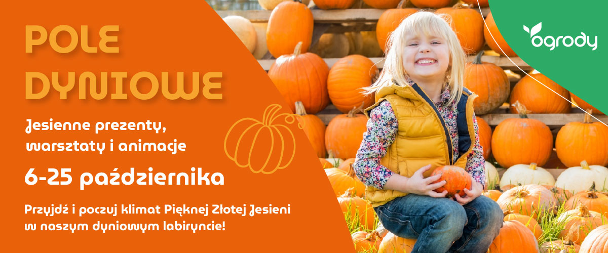 Reklama w Elblagu