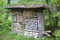 Hotel. Bez opłat i bez recepcji (Opowieści z lasu, odc. 298)