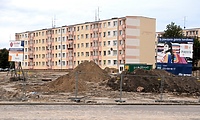 12 Lutego bez Sjaelso?