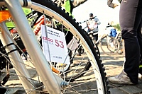 30. Elbląski Alleycat