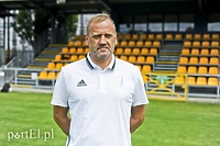 Żółto-biało-niebieskie DNA