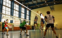 Amatorska Liga Siatkówki 2012
