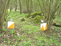 Marszobiegi na Orientację Szlakiem Parków Elbląskich