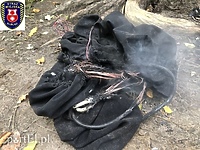 Spalał kable w parku Modrzewie