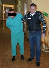 Areszt dla podpalacza