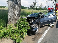 Auto uderzyło w drzewo