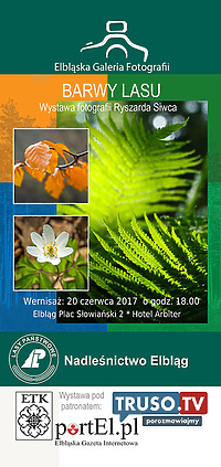 Barwy Lasu w obiektywie Ryszarda Siwca