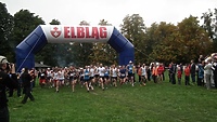 Elbląski Półmaraton - Bażant 2012