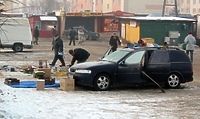 Bazarowe morsy