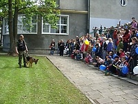 Bezpieczny przejazd