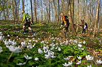 Bierzcie przykład z Ultra Wysoczyzny  (okiem naczelnego)