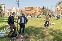 Skwer jak młody buk