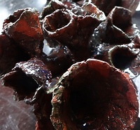 Ceramiony. Dziś otwarcie wystawy