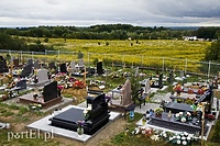 Bot nawiedził wirtualne groby