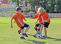 Concordia zaprasza do szkółki