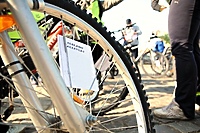Czas na 33. Alleycat