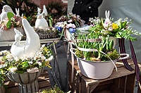 Czas na Lany Poniedziałek