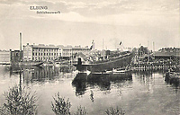 Czas na quiz! Co wiesz o Ferdynandzie?