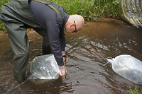 Czas na quiz. Czerwcowy portEl