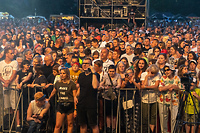 Czas na quiz! Elblążanki i elblążanie