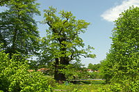 Quiz. Jak dobrze znasz Wysoczyznę Elbląską?