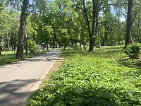 Czas na quiz. Spacerem po parkach