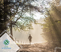 Czas na Ultra Wysoczyznę