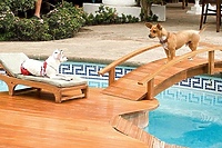 Cziłała z Beverly Hills