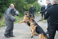 Czworonożni policjanci